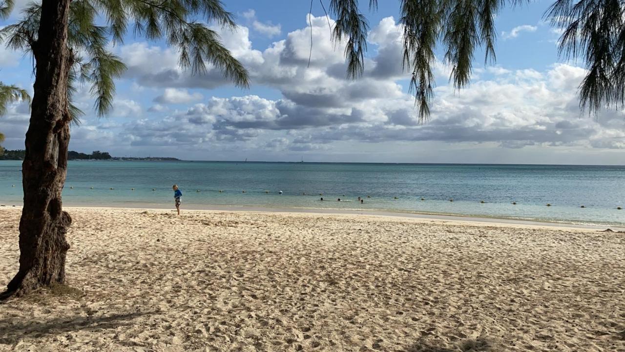 Splendide 2 Chambres A 5 Min De La Plage Mont-Choisy Eksteriør billede