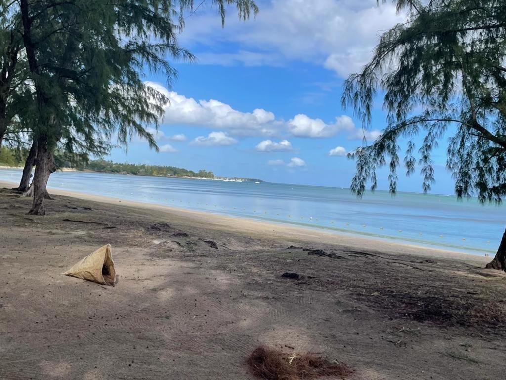 Splendide 2 Chambres A 5 Min De La Plage Mont-Choisy Eksteriør billede